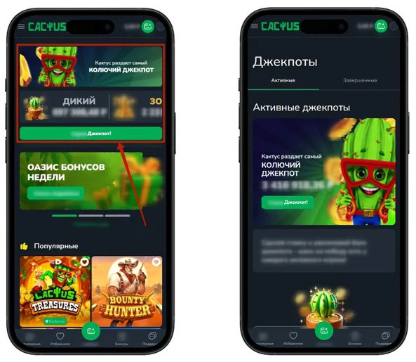 Cactus Casino — верификация и личный кабинет