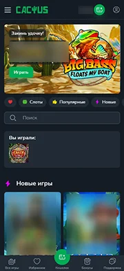 Cactus Casino — лицензия Curacao в футере