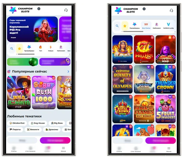 Способы связи с поддержкой Champion Slots — Телеграм, Вайбер, чат